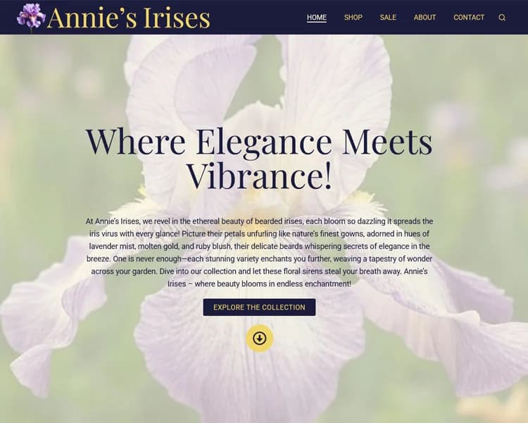 Annie's Irises